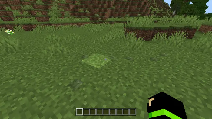 Foot Printer Minecraft Texture Pack