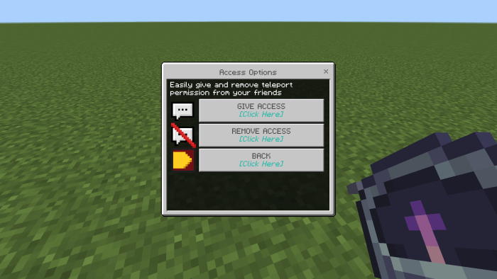 Access Options